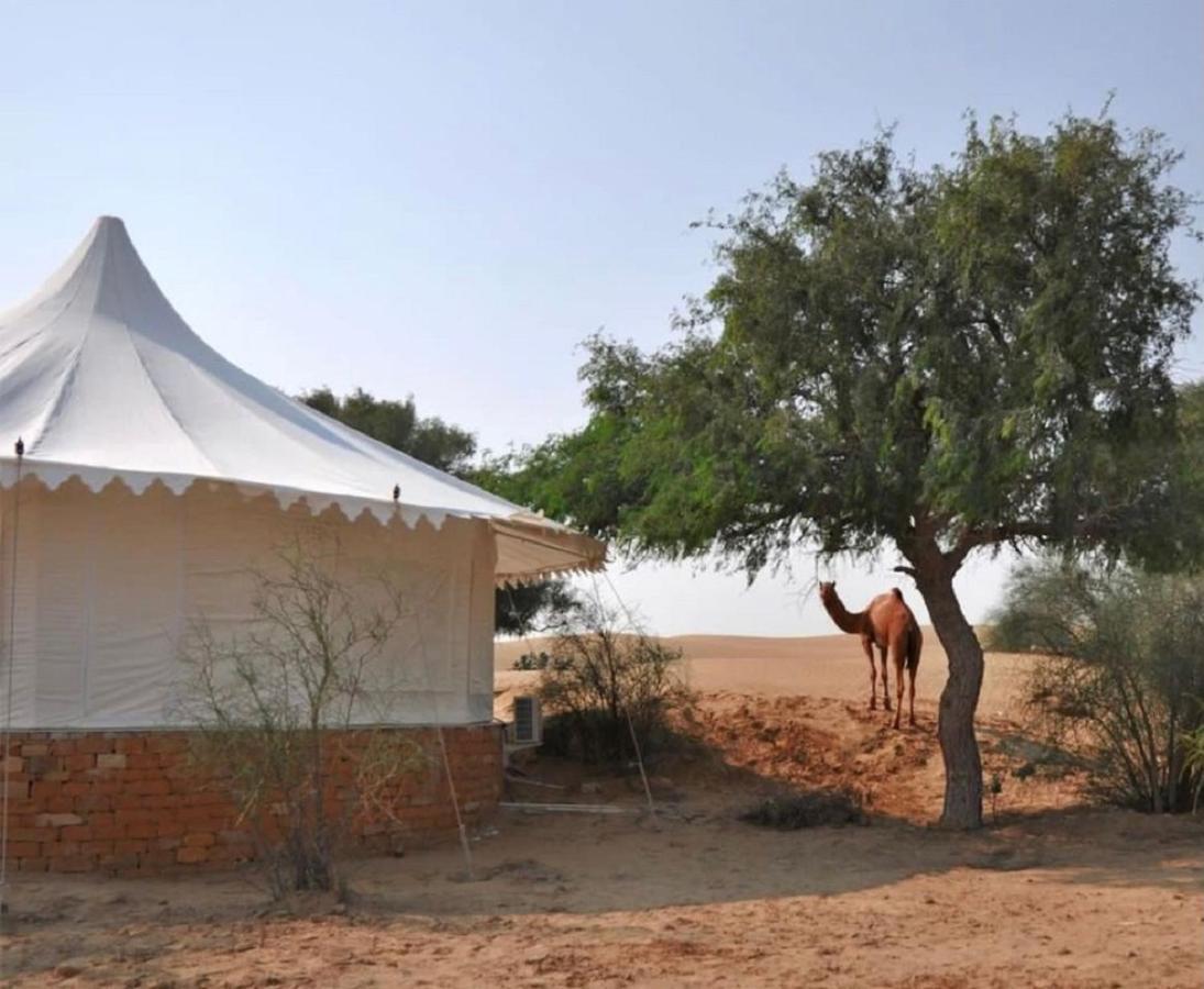 Wild Heritage Desert Camp Hotel Jaisalmer Bagian luar foto